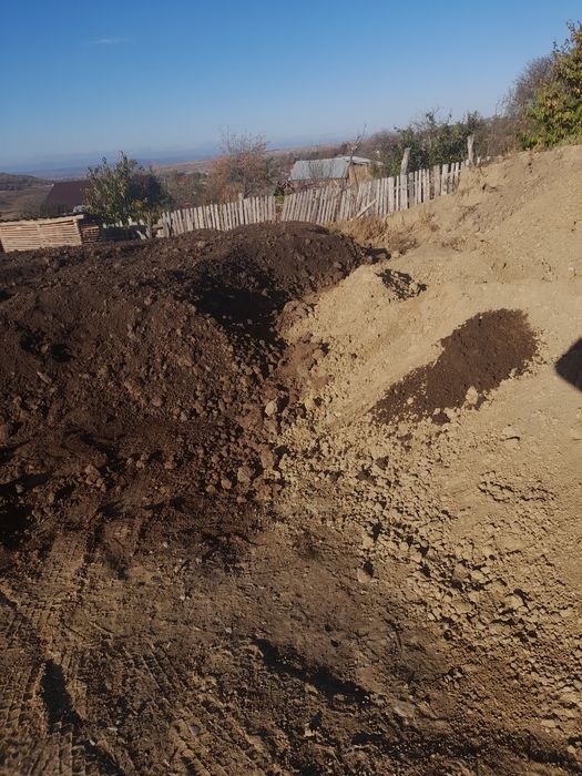 Pamant negru vegetal pt gazon gradina solar