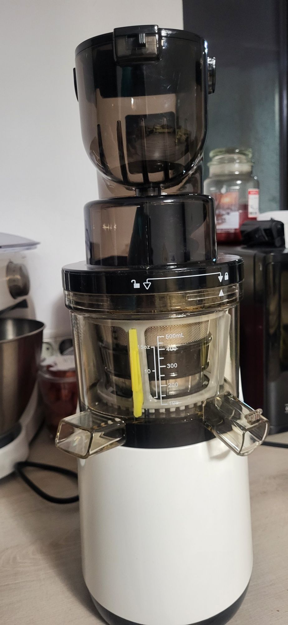 Biochef Whole Slow Juicer