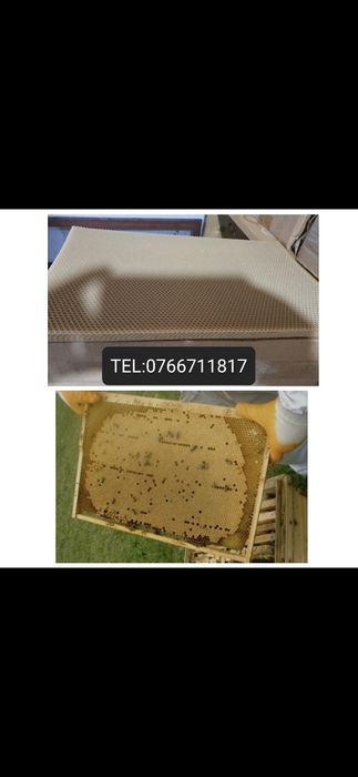 Vând faguri din ceara naturală de albine