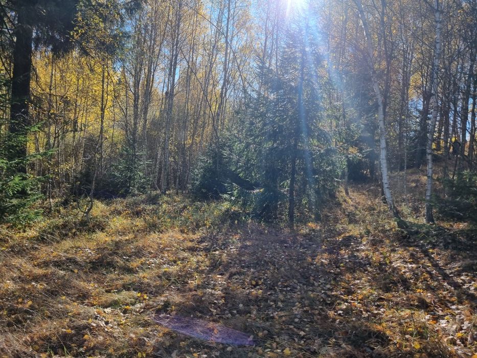 De vânzare teren  in Râșca