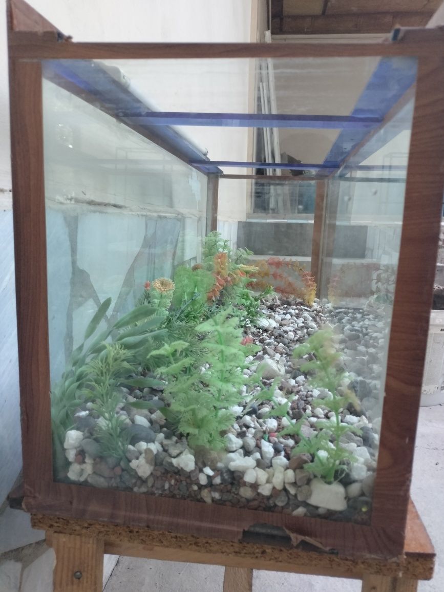 Akvarium sotiladi