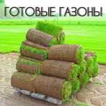 Газоны европейского качества готовый рулоновый + ланшафт