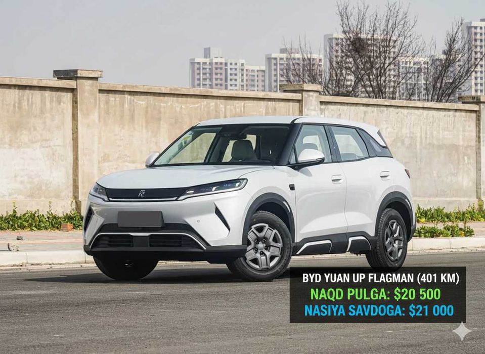 Naqt /Nasiyaga BYD YUAN UP (FLAGSHIP 401 KM)