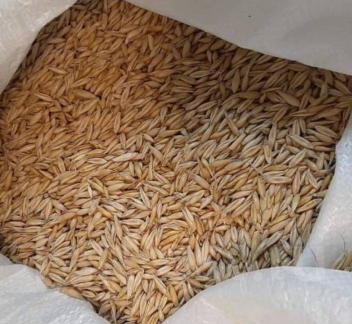 Продам овёс в мешках