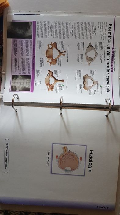 Colectie interiorul corpului uman medicina