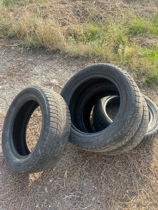 Шины triangle, greenmax