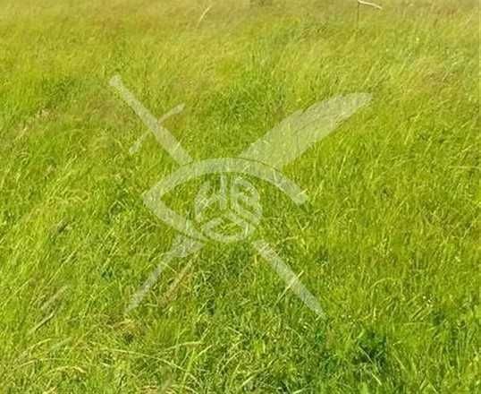 Парцел в с. Конуш! 94298