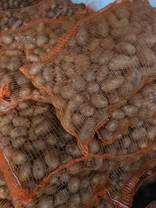 Cartof albi !(ultra)