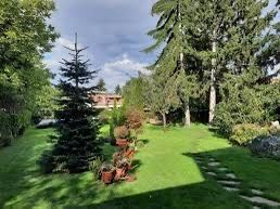 Озеленяване, подръжка и консултация