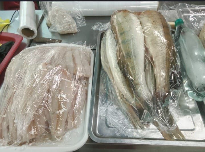 Судак сатылады 1500