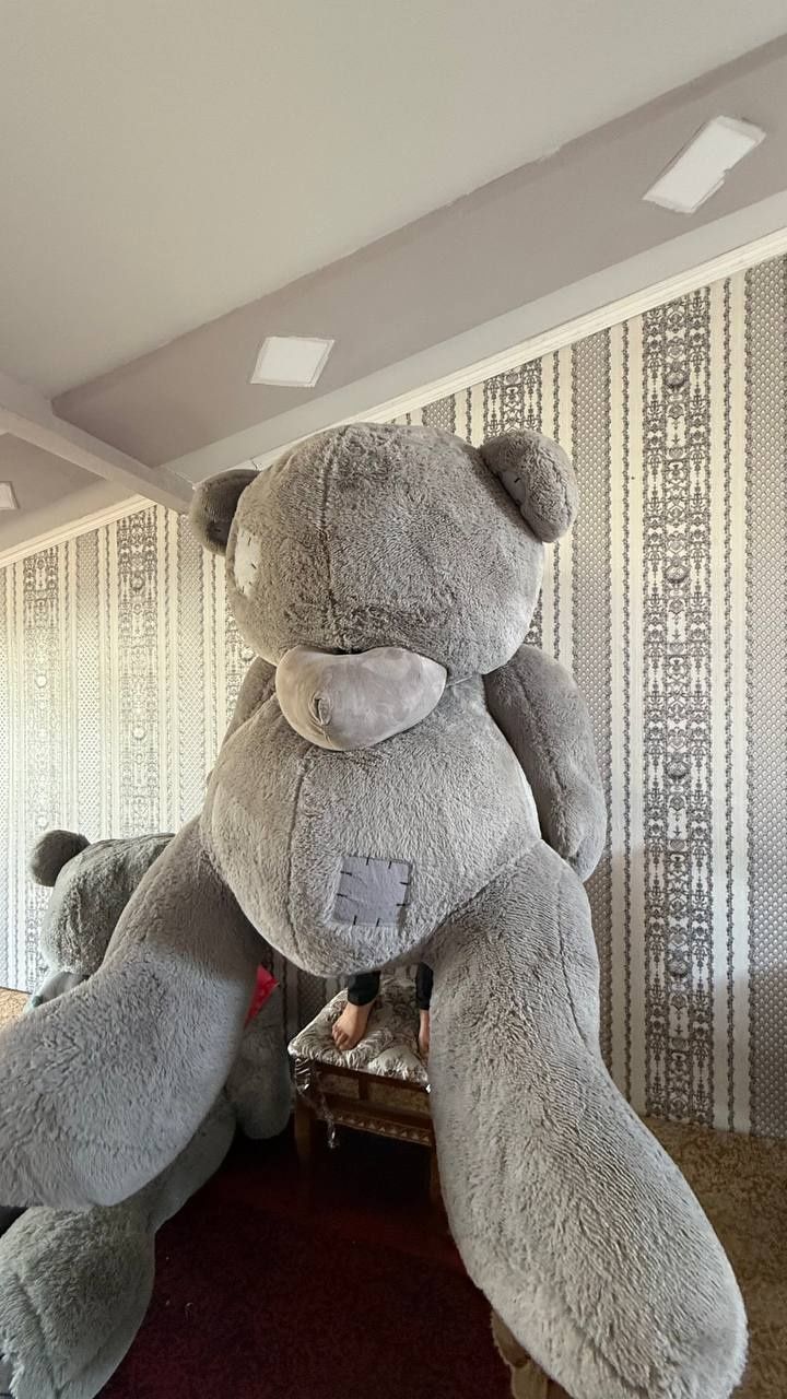 Eng kotta Arginal teddylar ayiqlar