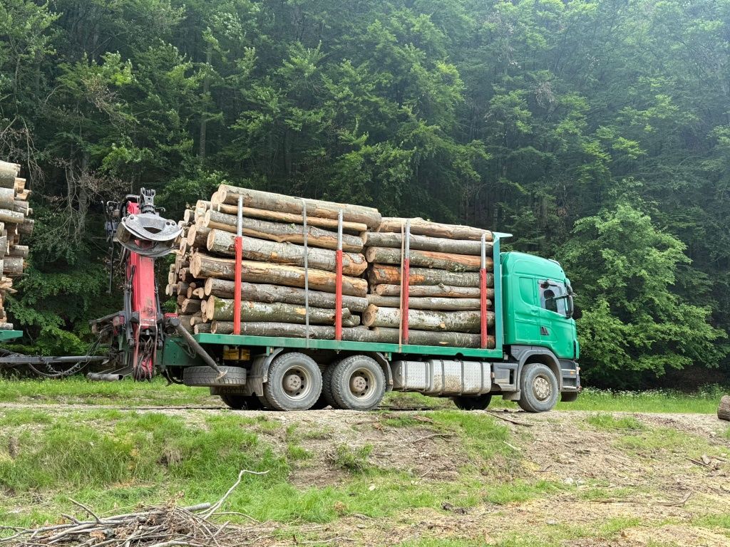 Vând lemn de foc esență tare verde și uscat  posibilitate de transport
