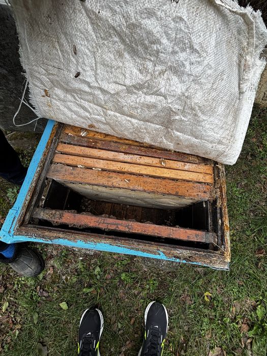 Цели кошери с пити