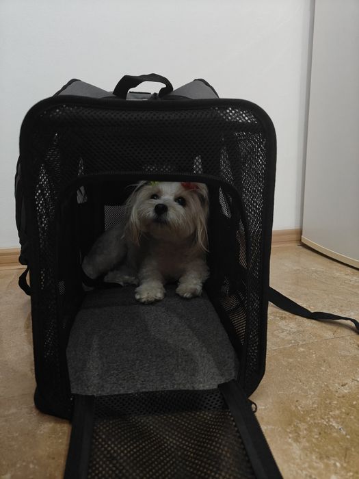 Rucsac transport câini