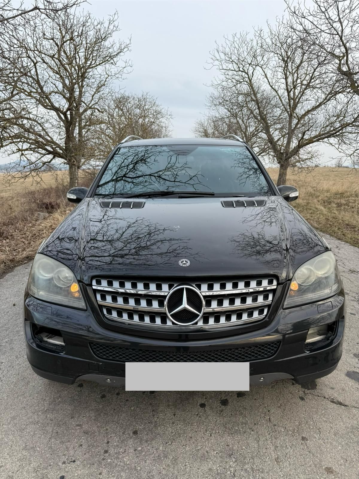 На части ML W164 Final edition om642 ML320 ML280
