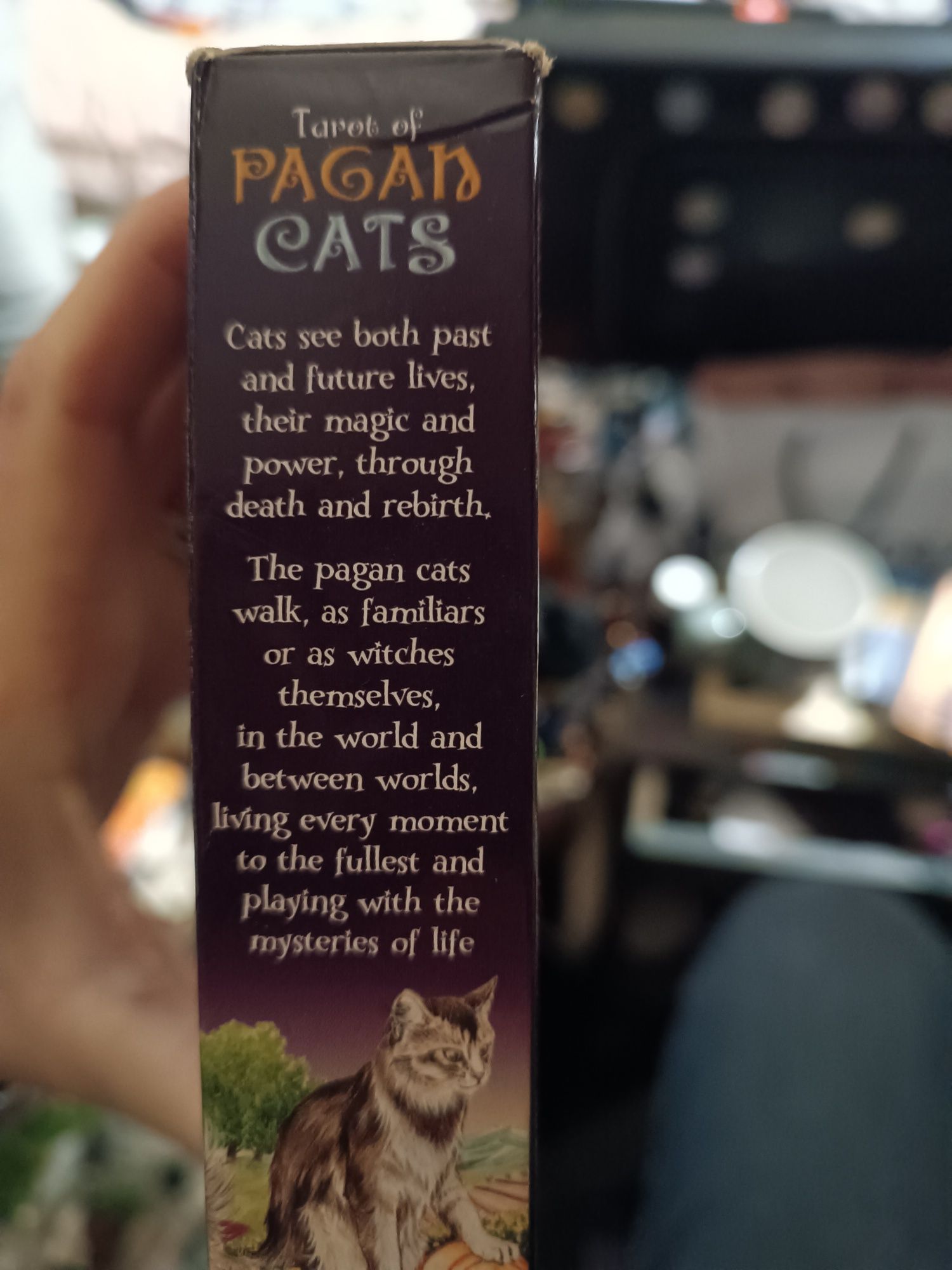 Taro of Pagan Cats/ с котки/ Magdelina Messima