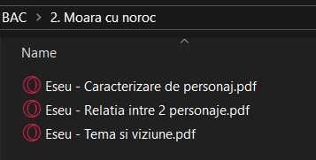 Dosar eseuri Bacalaureat - (Format Online | PDF) | Eseuri Bac Romana