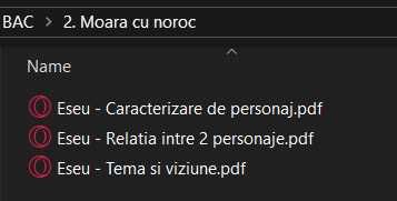 Dosar eseuri Bacalaureat - Limba Romana (Format Fizic / Online)