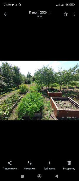 Продам дачу 17 общество 7