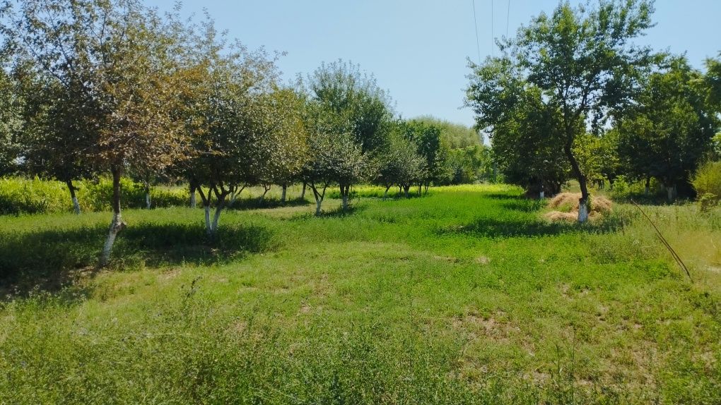 Hovli uy sotiladi
