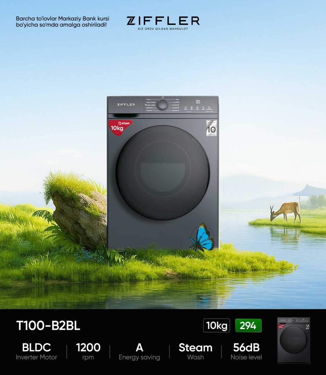 Стиральная машина Ziffler T100-A2DG