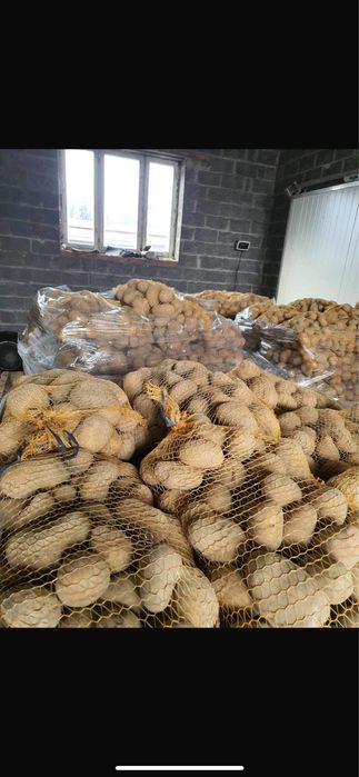 Vând Cartofi import Polonia Calitate lux 60+ sac 10kg cusut