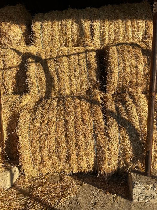 Vand baloti de lucerna