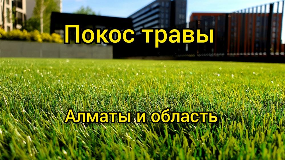 Покос травы.  Стрижка живой изгороди, туй, можможжевельников.