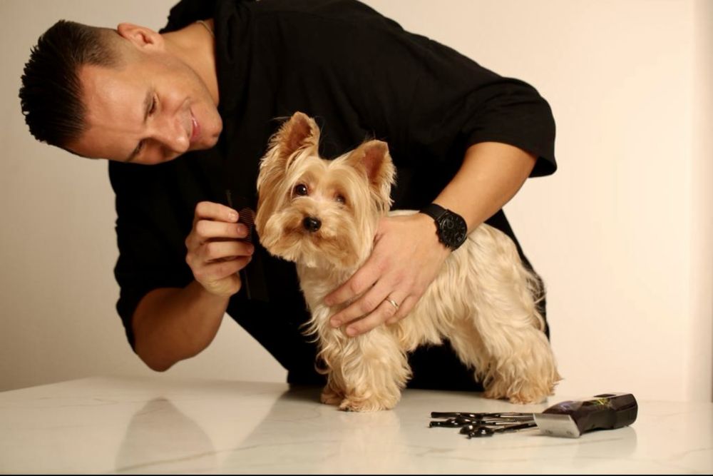 Kiss Pet Hair Studio-Coafură canină & Cosmeticā