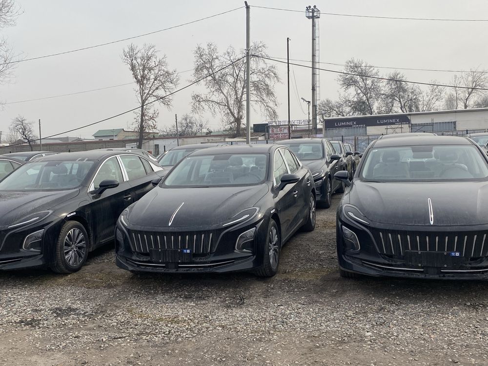 Hongqi e-qm 500 km full elector. Notarius