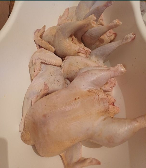 Домашние свежие куры бульонные и бройлеры мясистые