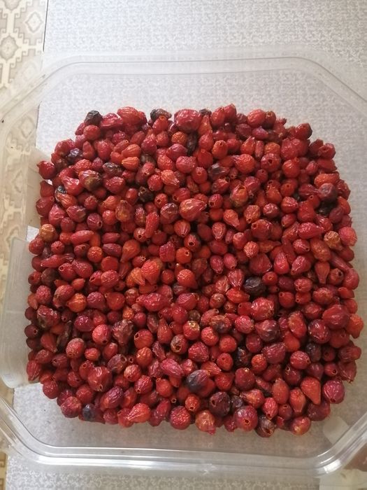 Продам шиповник сушеный