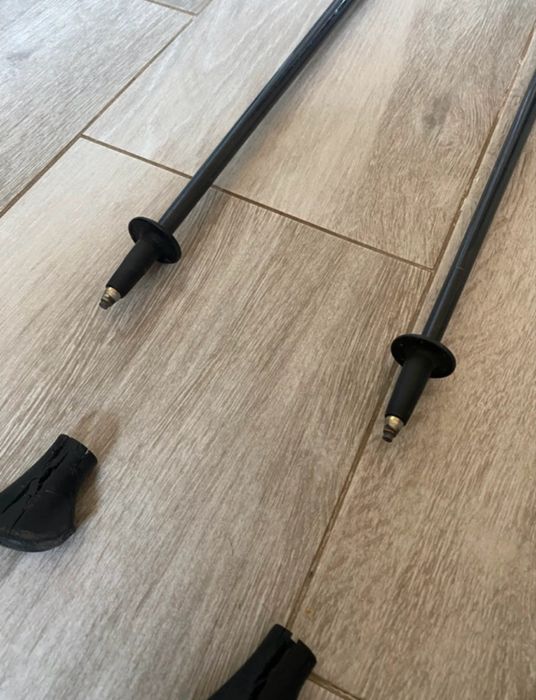 Bețe profesionale Fizan NW carbon trek/outdoor, 115cm