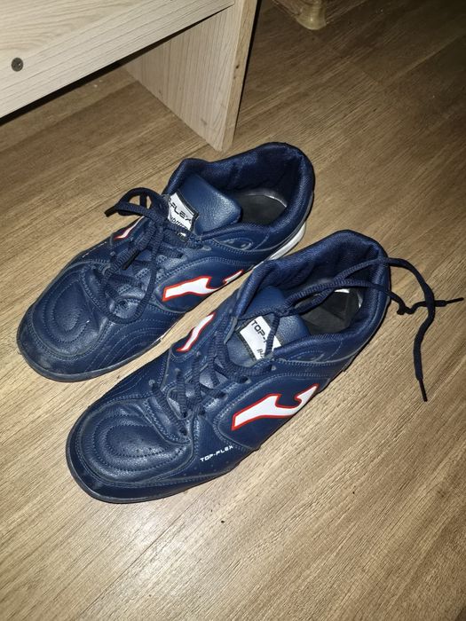 Сороконожки новые