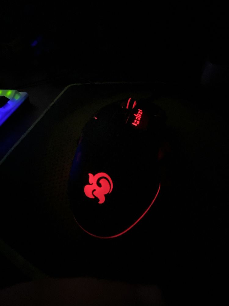 Mishka | Sichqoncha | mouse