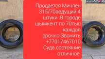 Есть 4 штуки Мичлен ведущий
