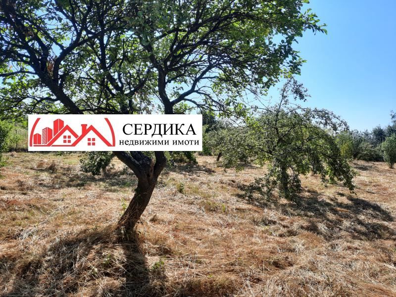 Продава се Парцел в с. Големо Бучино, Област Перник - 1763 кв.м за 50 €/кв.м - Снимка #1
