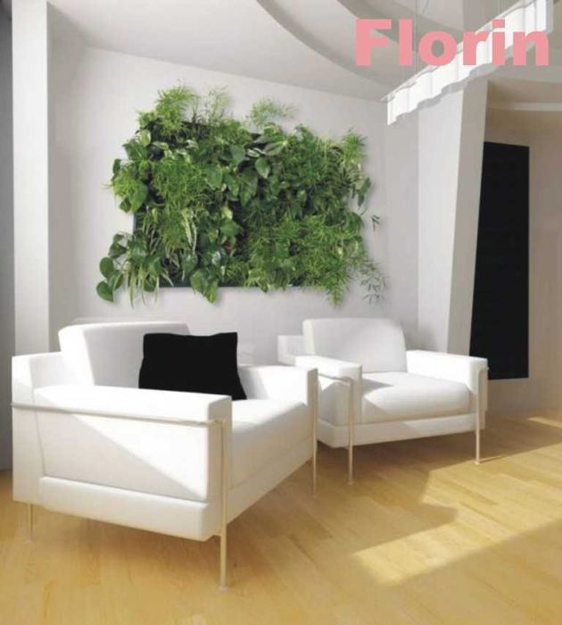 Suport ghivece perete flori pt cei pasionati. Ideal pentru cadou!