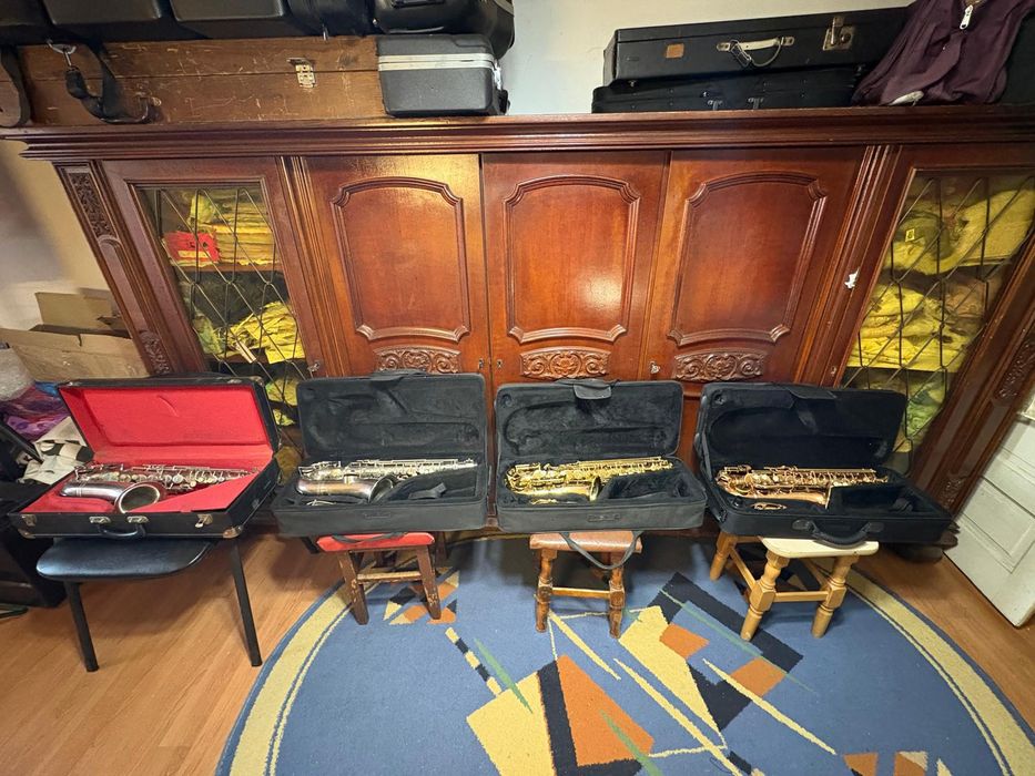 Saxafoane Profesinale