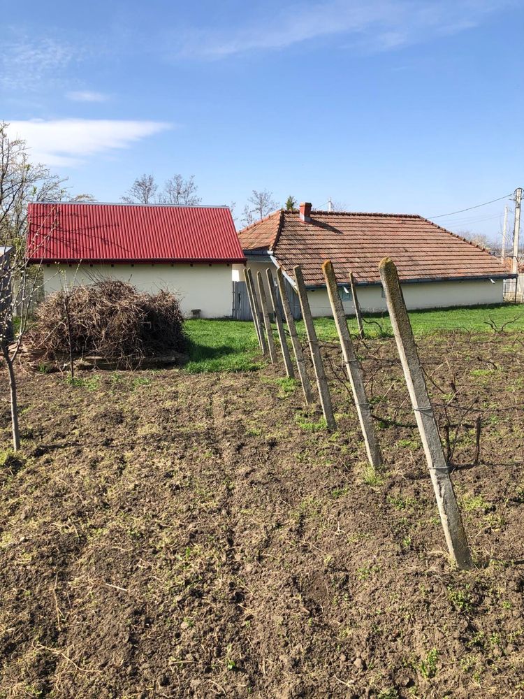 Vand Casa + anexa , teren 3000mp intravilan, curent,apa,canalizare