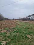 Teren suprafata 5 500 mp Albota