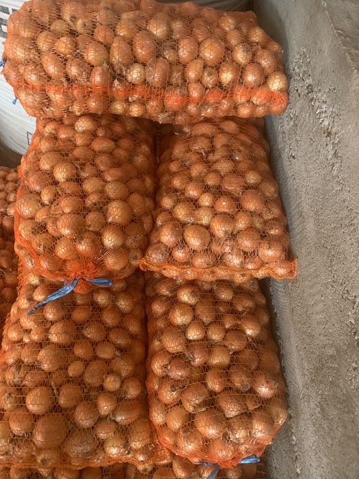 Ceapa galbena de vanzare