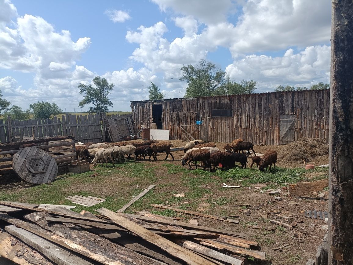 Продам дом в п. Васильевка