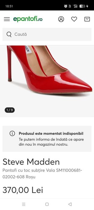 Pantofi stiletto Steve Madden