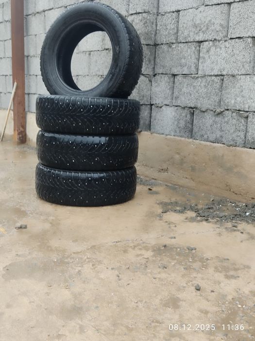 Хорошо зиние шыны