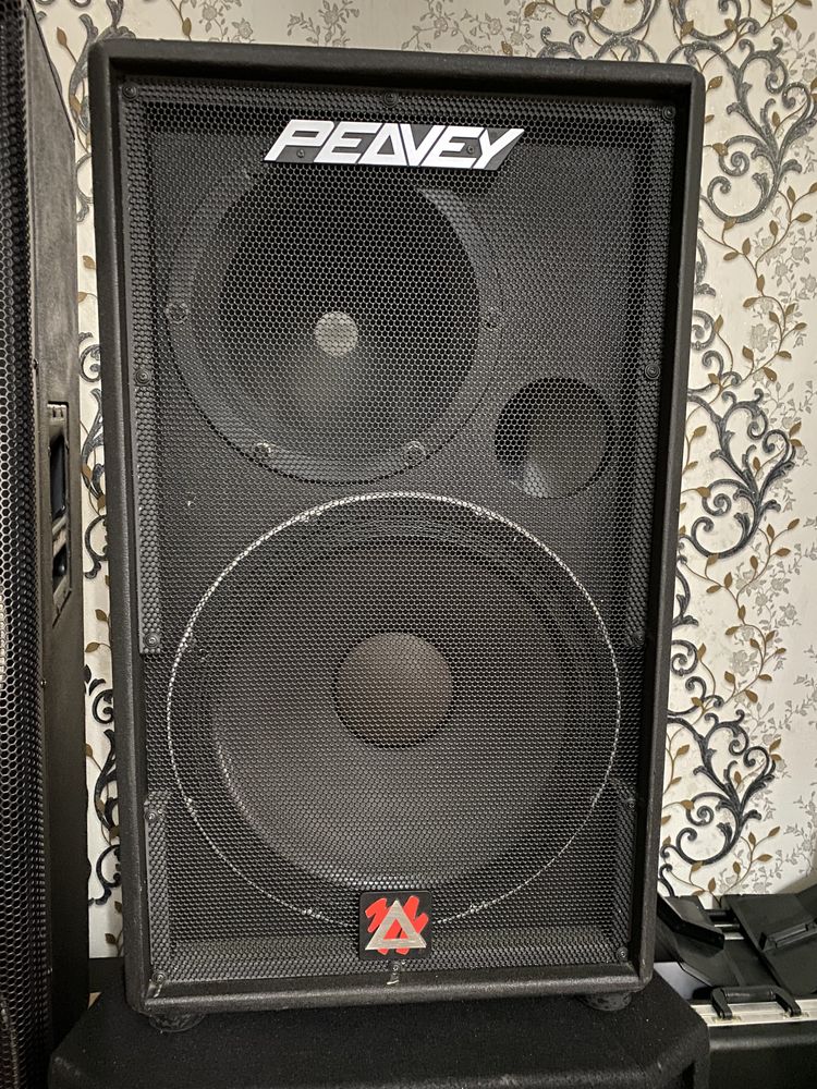 Peavey DTH SM Калонки