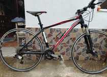Specialized carbon