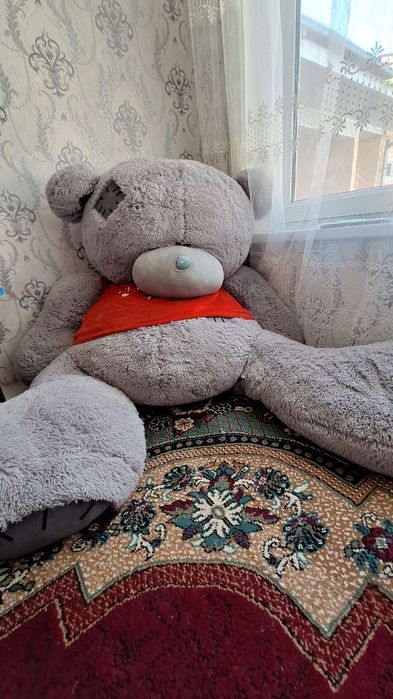 Teddy ayigi boyi 1.90