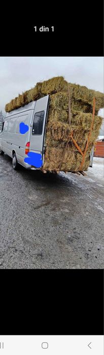 Vând baloti de Fan și lucerna