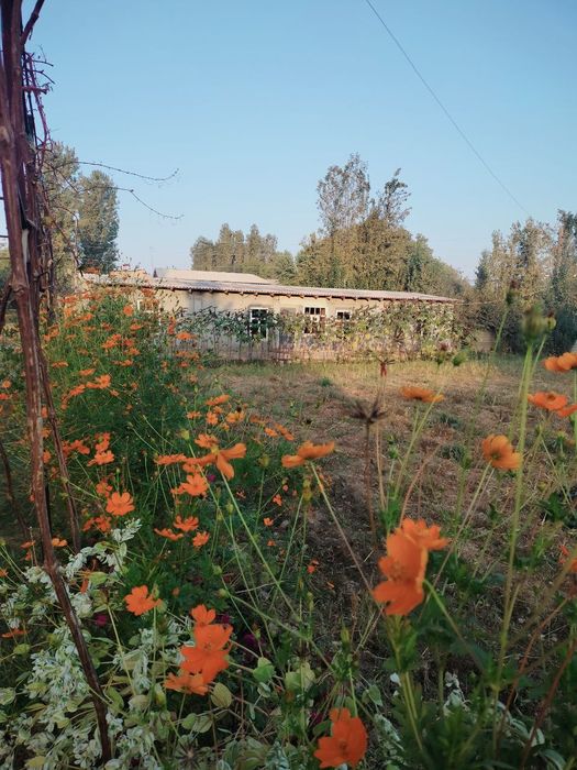 Uy sotiladi 4sotok 4xona